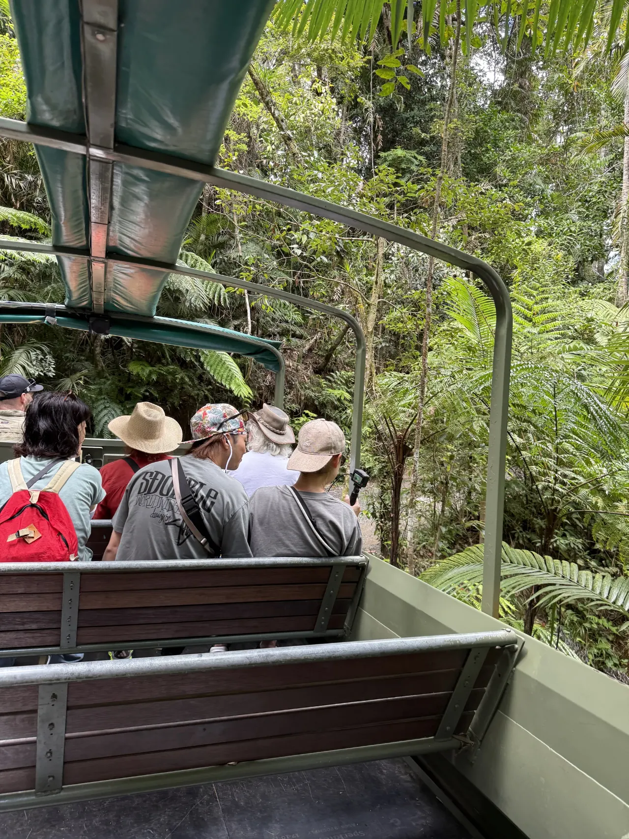 The Army Duck among rainforest palms