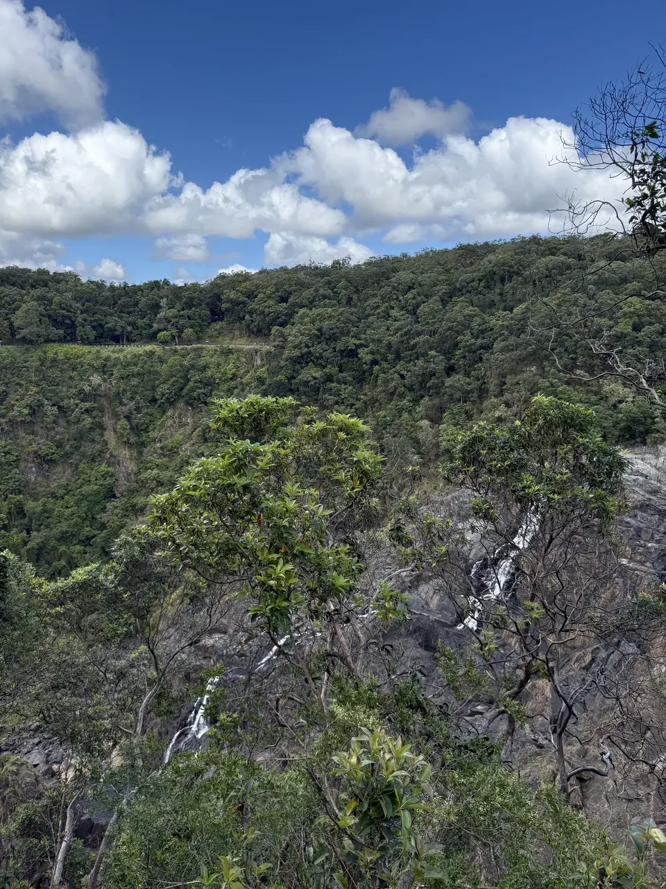 The Barron Gorge with a waterfall and river far below