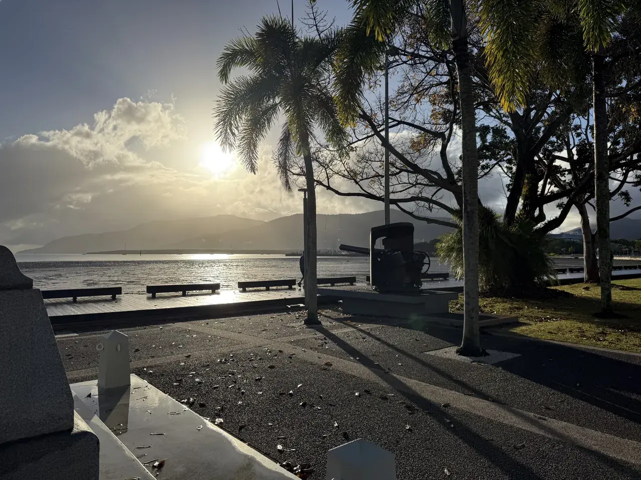 The low-tide waterfront with palms and a public artwork
