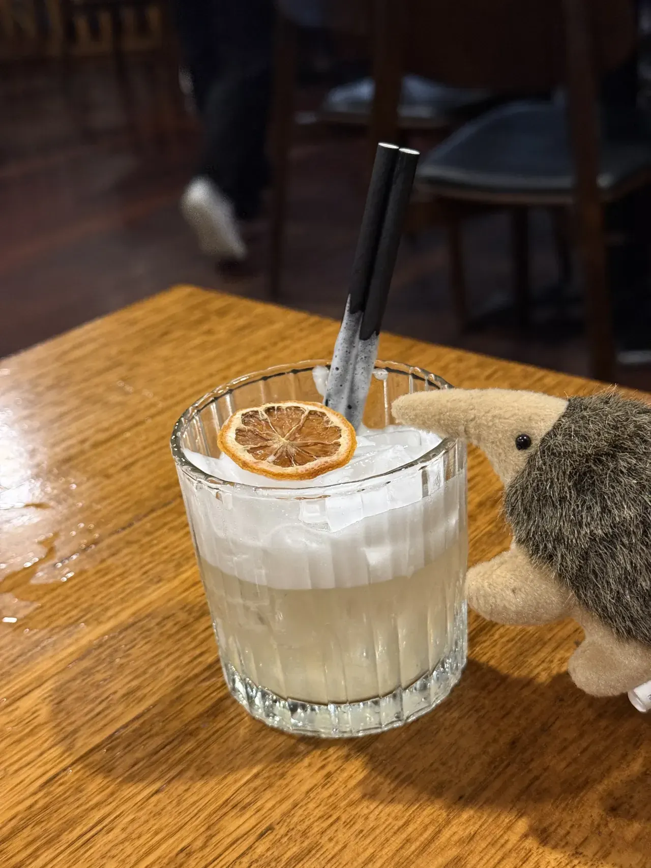 A cocktail and the plush echidna at Villa Romana