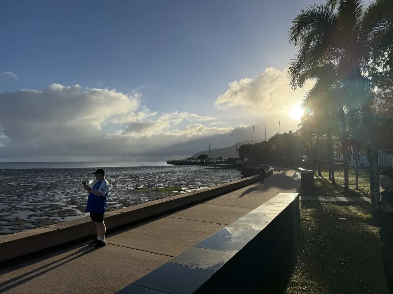 Morning light on the Cairns Esplanade, with palms and low tide