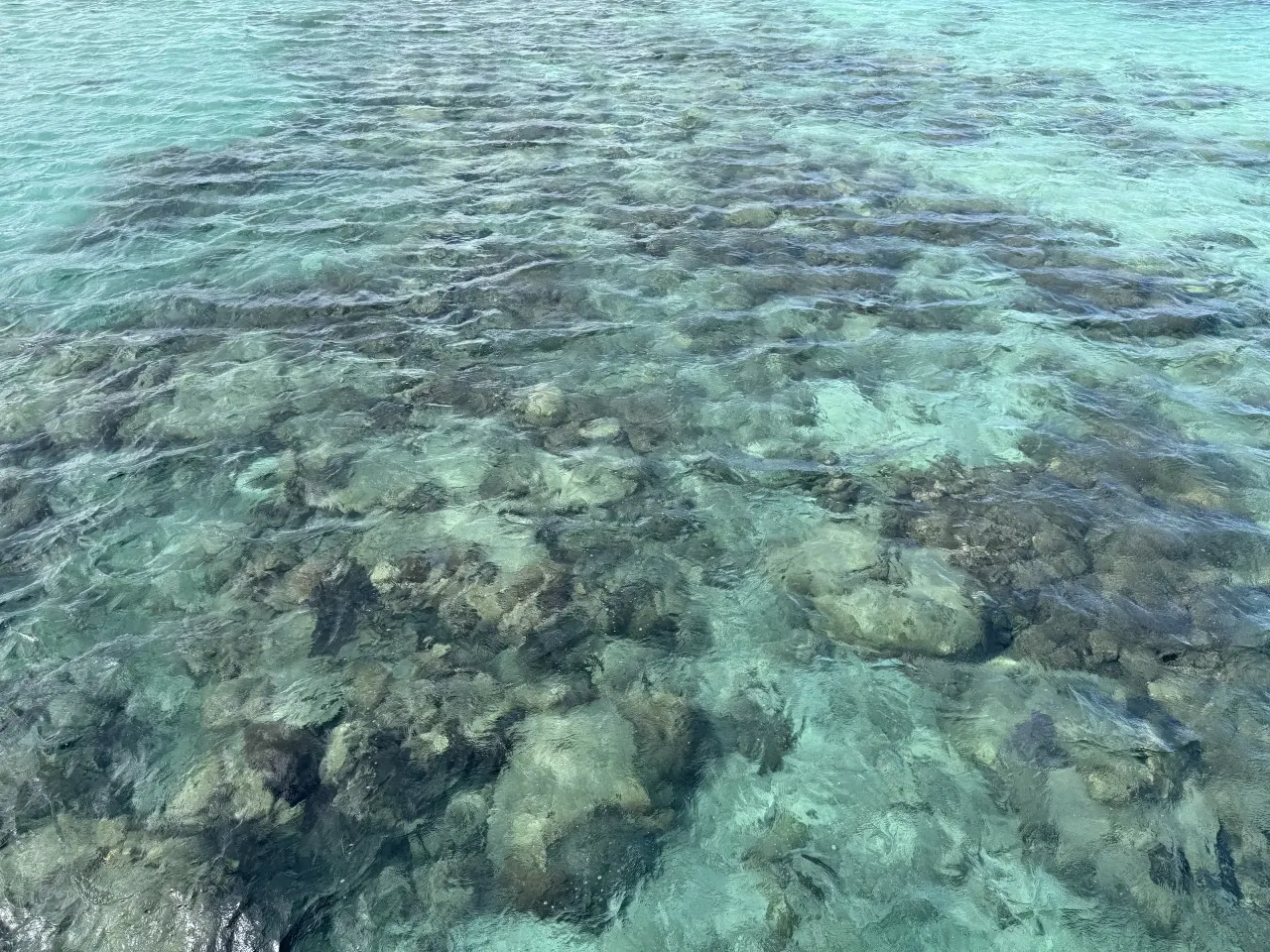 Clear shallow water over coral and pale sand at Green Island