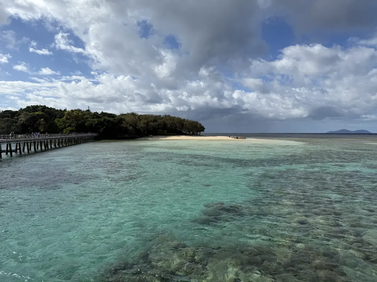 The Green Island shoreline and pier across shallow water