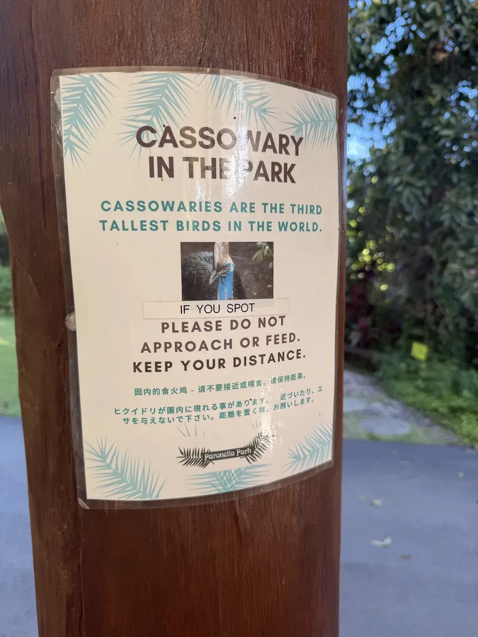 A cassowary warning sign in English, Chinese and Japanese