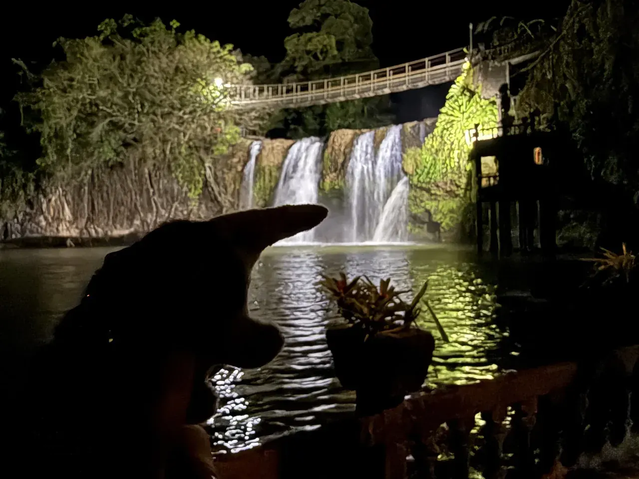 The plush echidna held up in silhouette in front of the lit waterfall