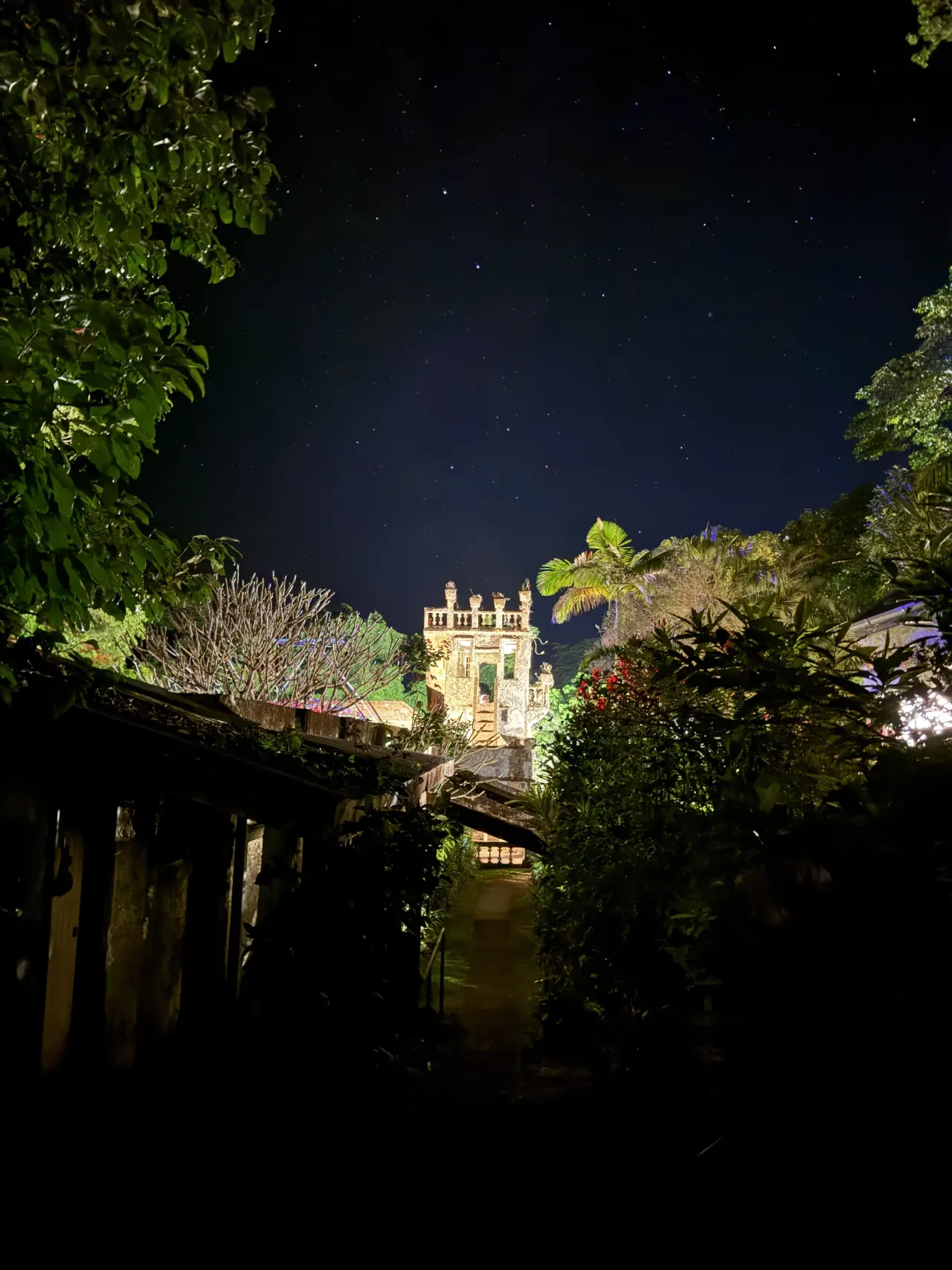 Stone ruin and tropical plants beneath the stars