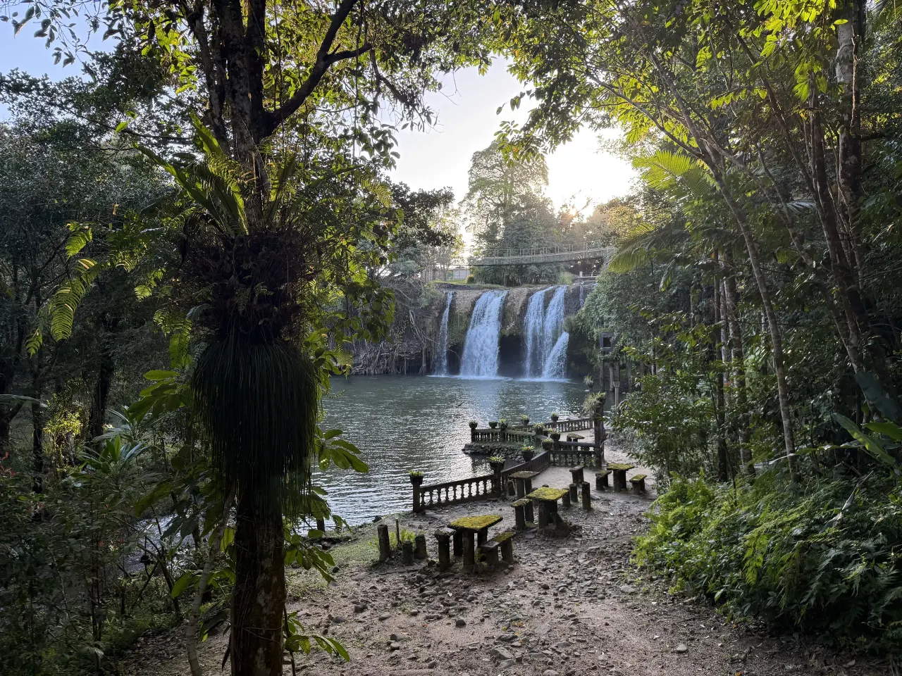 Mena Creek Falls, the suspension bridge and mossy terraces in daylight