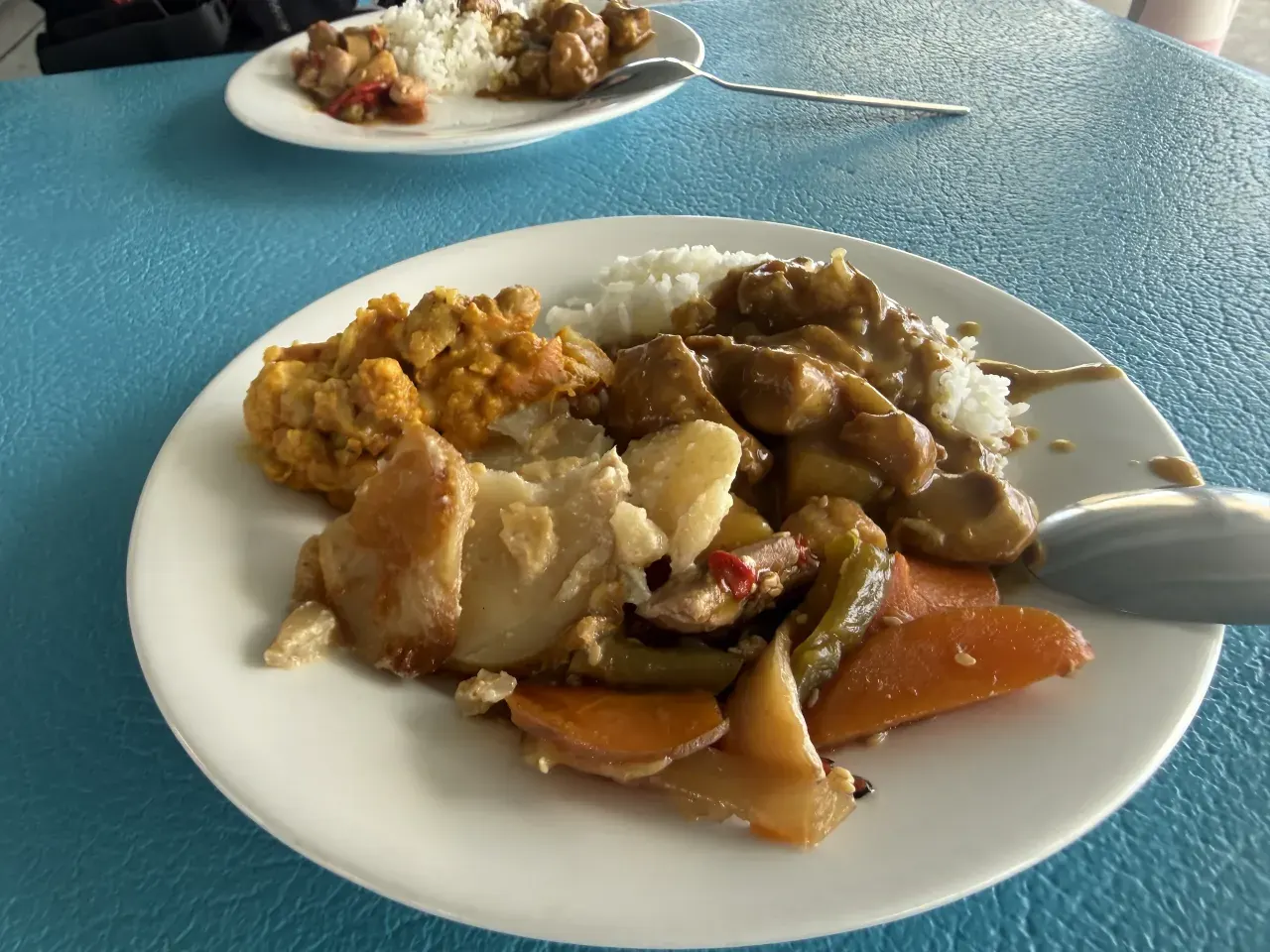 A plate of buffet food on the Outer Reef pontoon